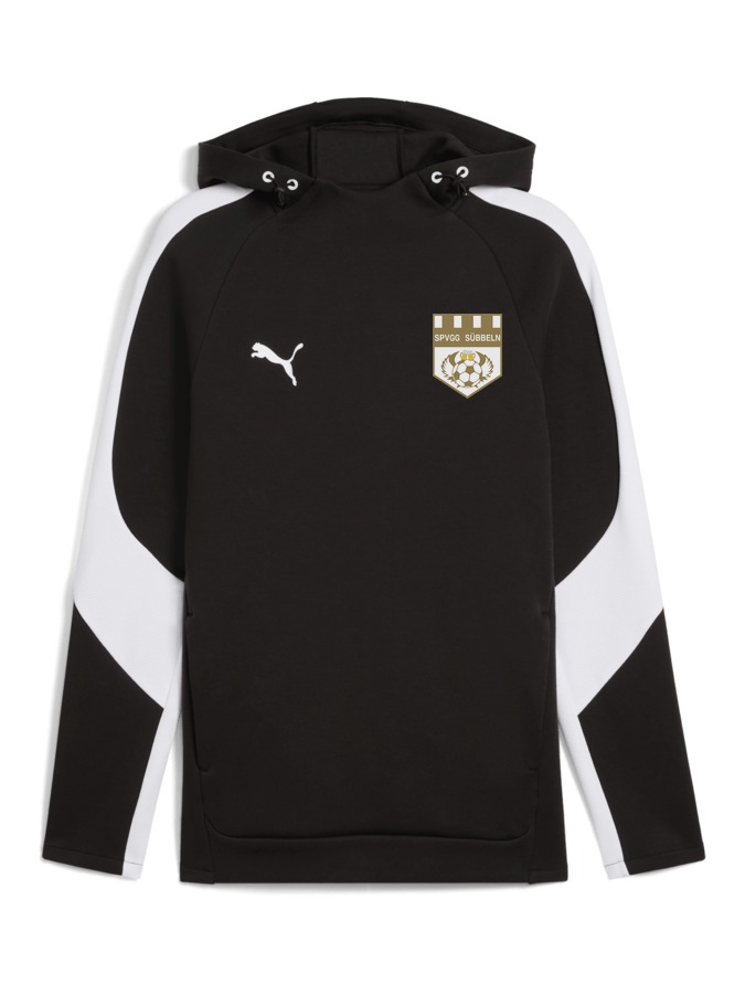 PUMA teamEVOSTRIPE Hoody