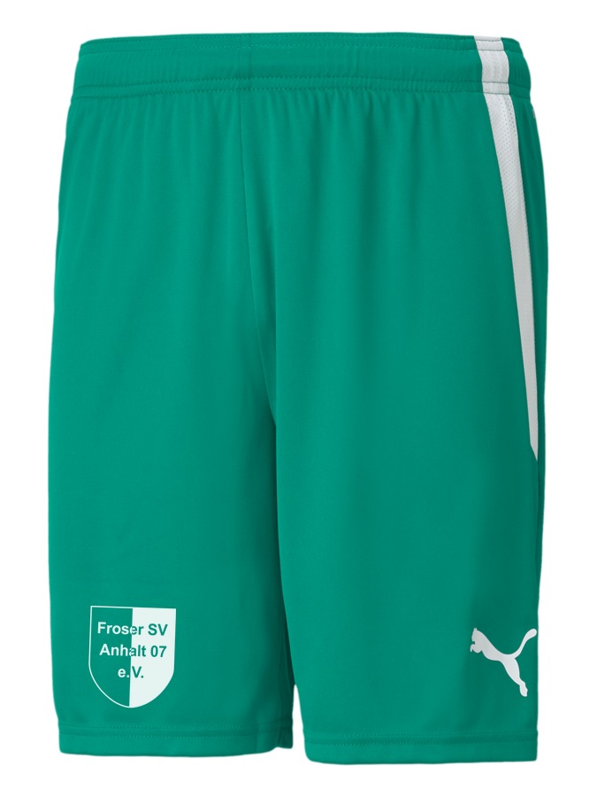 PUMA teamLIGA Shorts