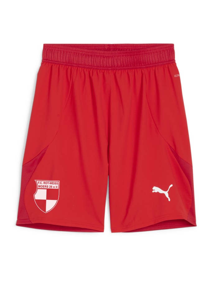 PUMA teamFINAL Shorts