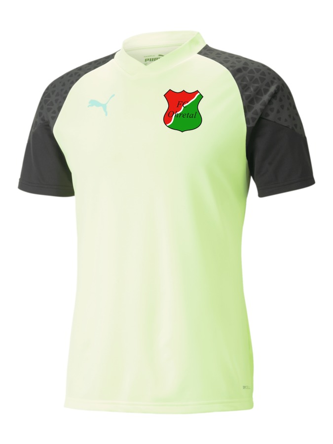 PUMA individualCUP Trainingsshirt