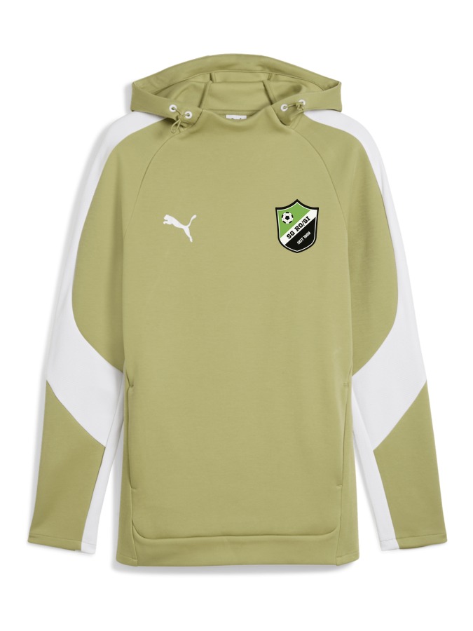 PUMA teamEVOSTRIPE Hoody