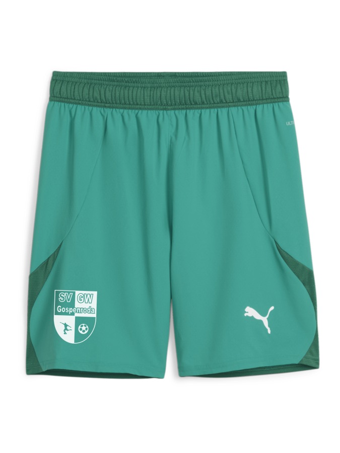 PUMA teamFINAL Shorts