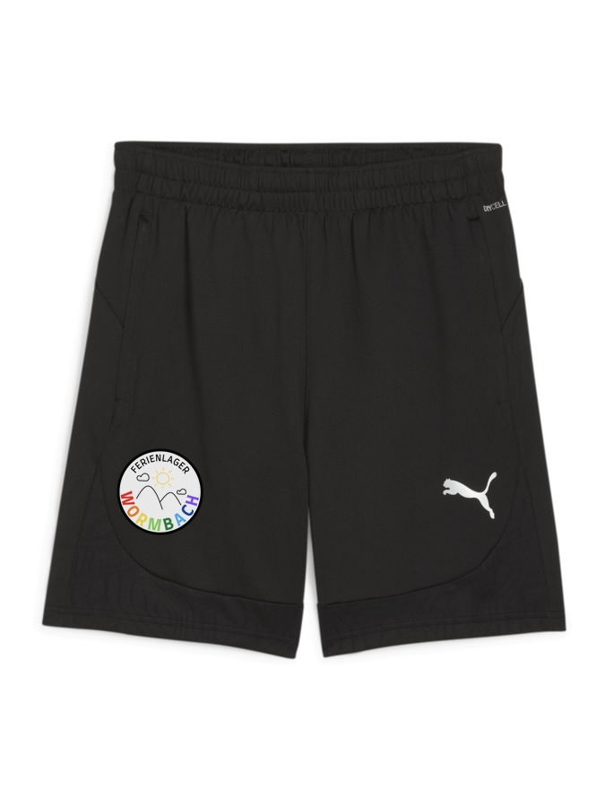 PUMA teamFINAL Training Shorts