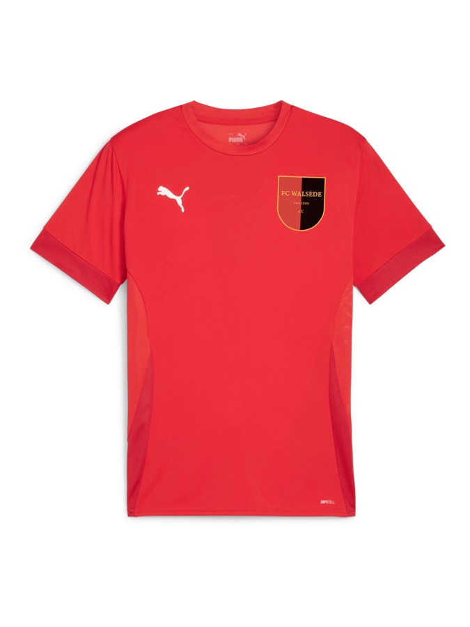 PUMA teamGOAL Matchday Trikot