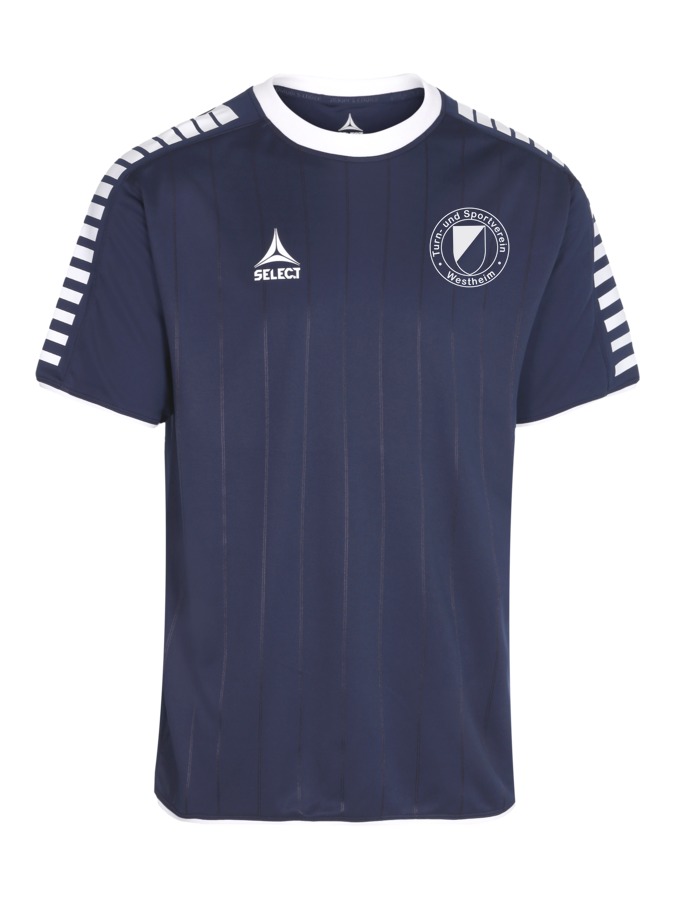 Select Argentina Trikot