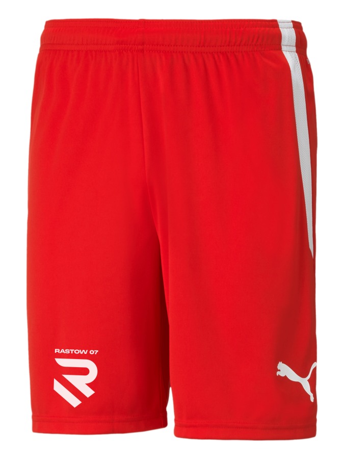 PUMA teamLIGA Shorts