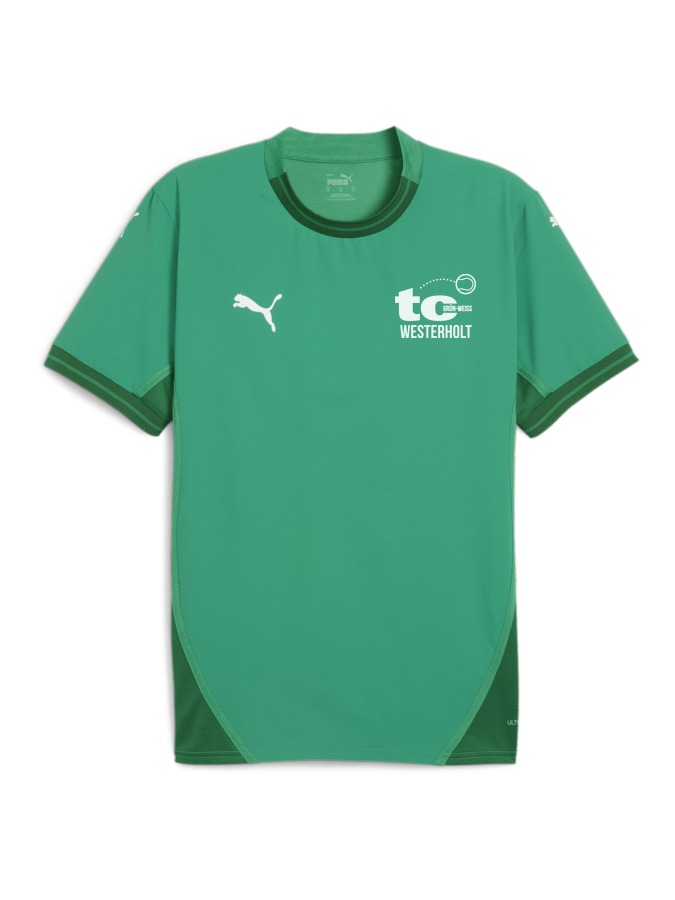 PUMA teamFINAL Trikot