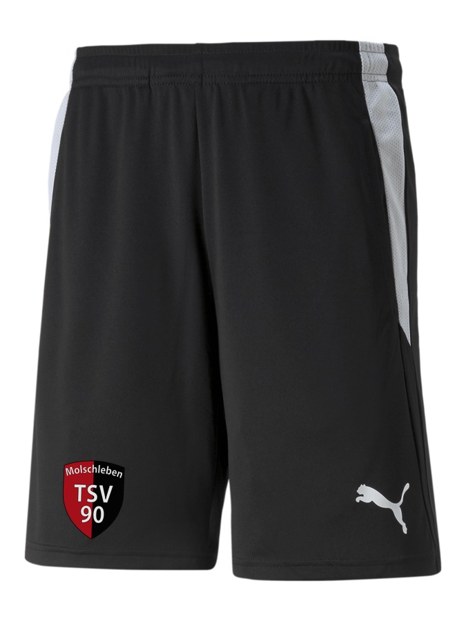 PUMA teamLIGA Referee Shorts