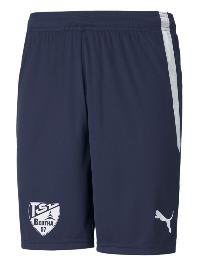 PUMA teamLIGA Shorts