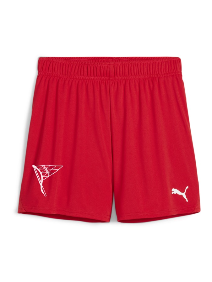 PUMA teamGOAL Handballshorts Damen