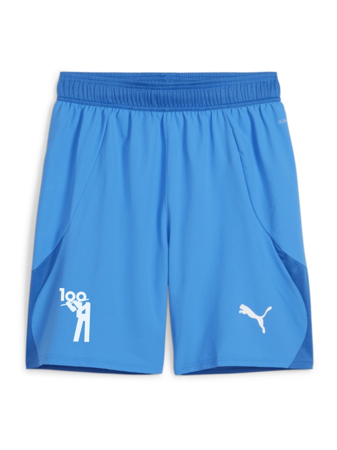 PUMA teamFINAL Shorts