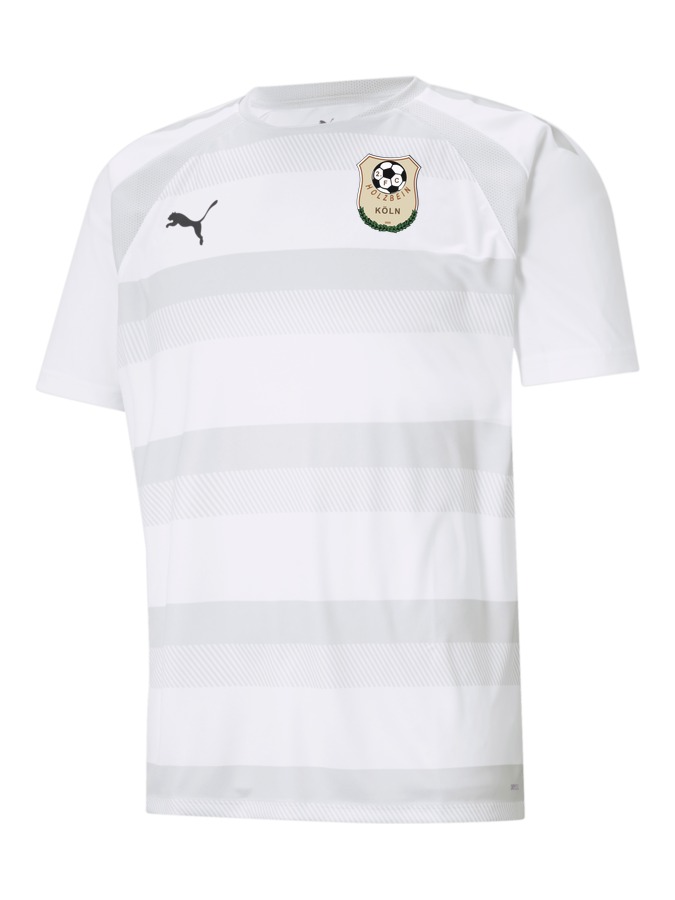 PUMA teamVISION Trikot
