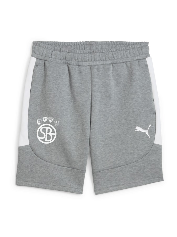 PUMA teamEVOSTRIPE Shorts