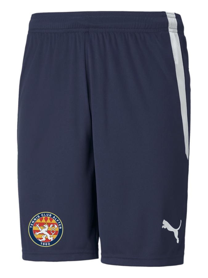 PUMA teamLIGA Shorts