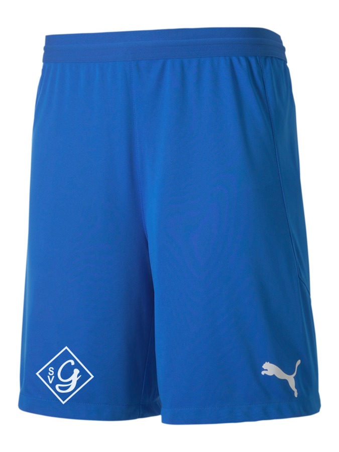 PUMA teamFINAL 21 Knit Shorts