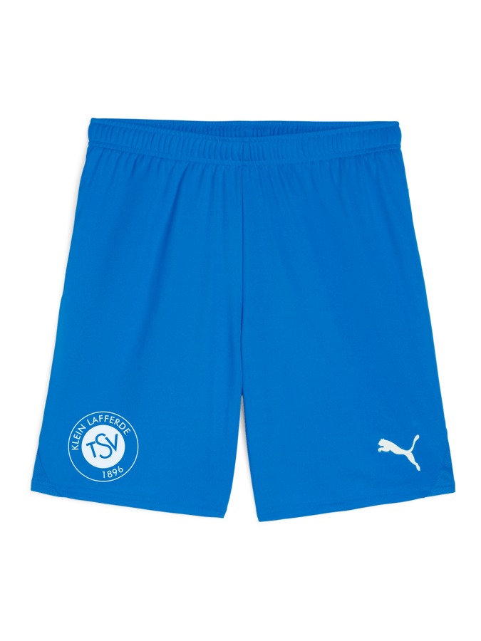 PUMA teamGOAL Shorts