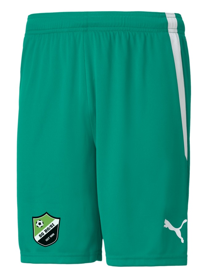 PUMA teamLIGA Shorts