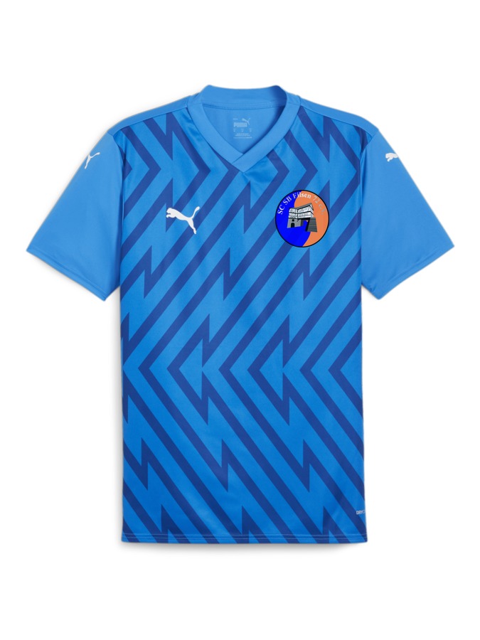 PUMA teamGLORY Trikot