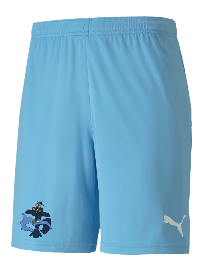 PUMA teamGOAL 23 Knit Shorts