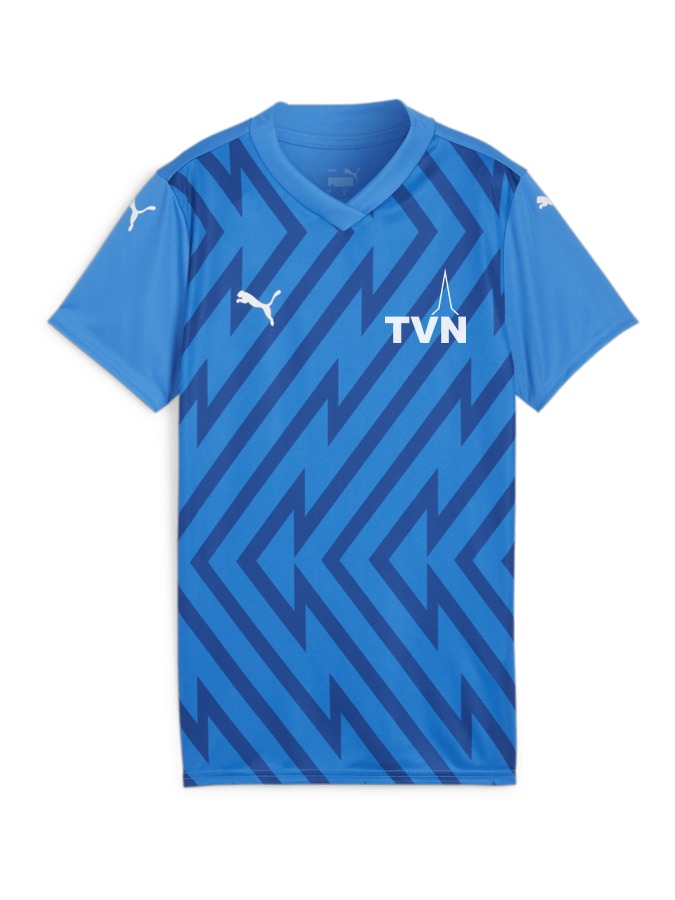 PUMA teamGLORY Trikot Damen