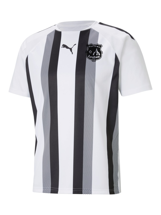PUMA teamLIGA Striped Trikot