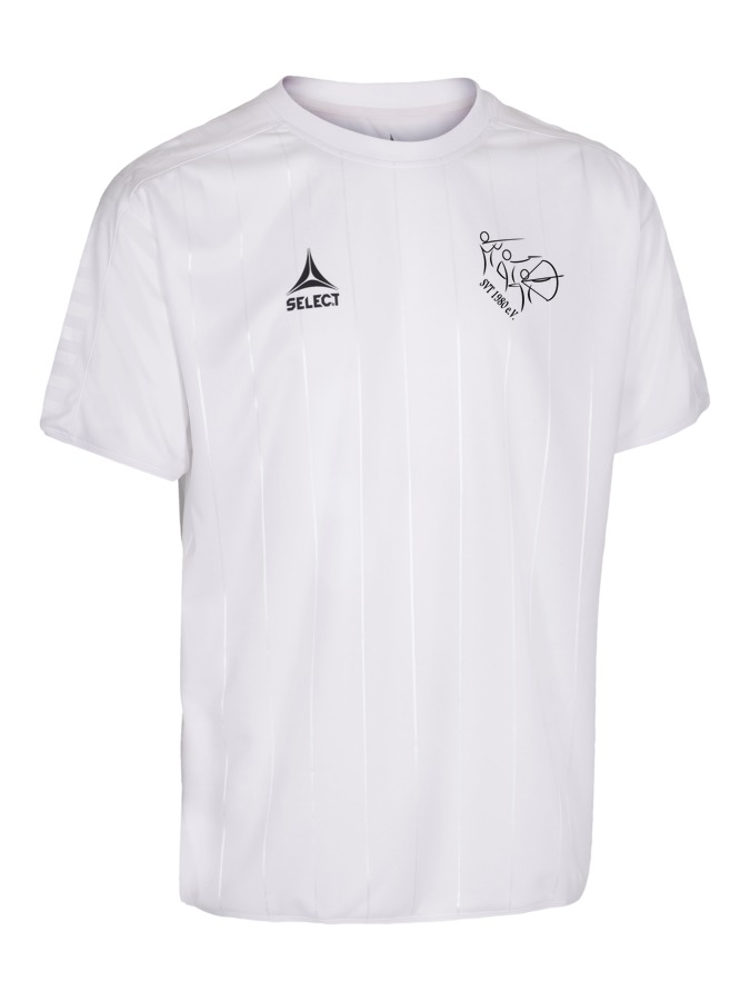Select Argentina Trikot