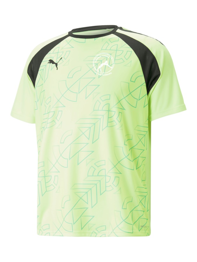 PUMA teamLIGA Graphic Trikot