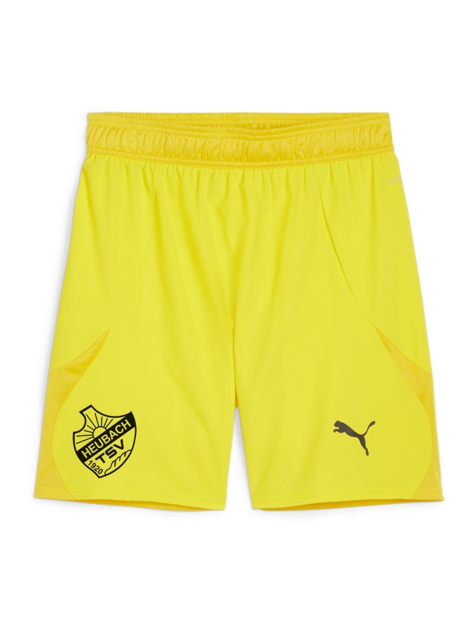 PUMA teamFINAL Shorts