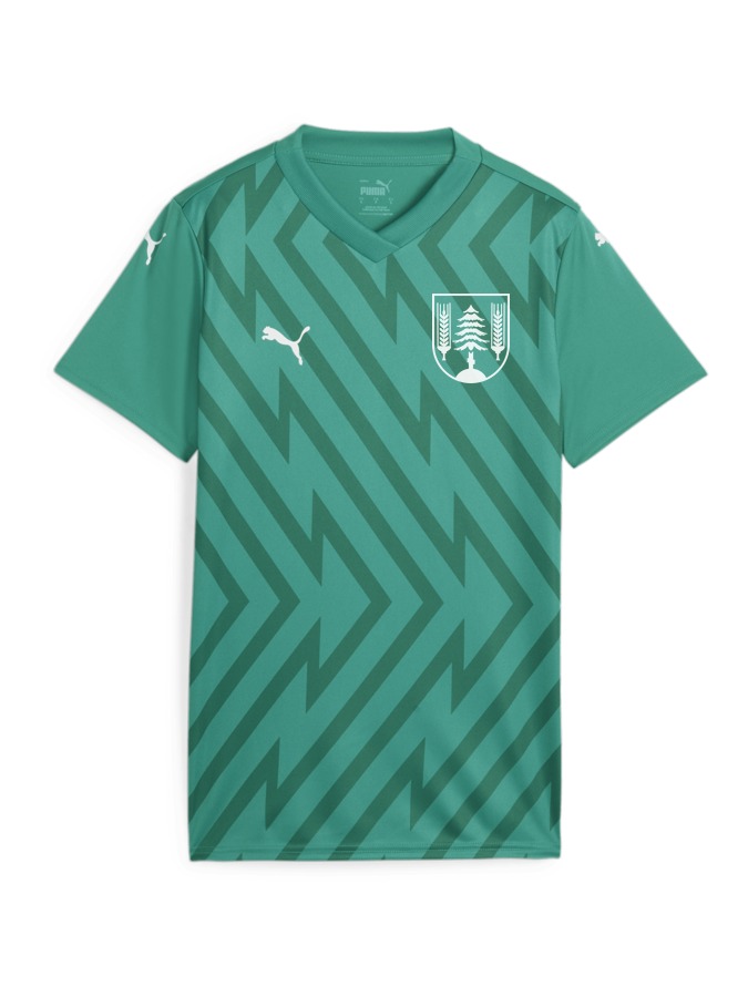 PUMA teamGLORY Trikot Damen