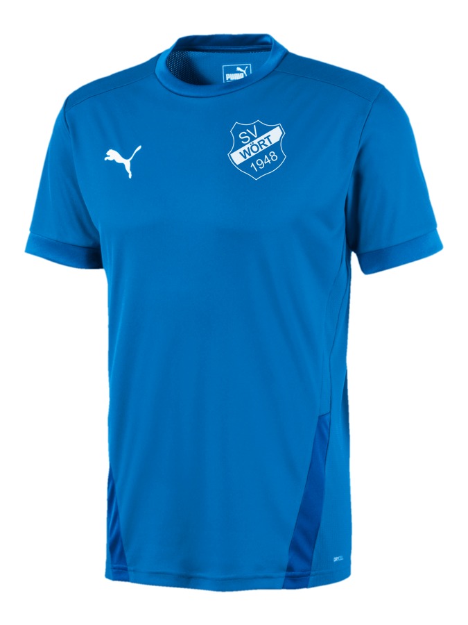 PUMA teamGOAL 23 Trikot