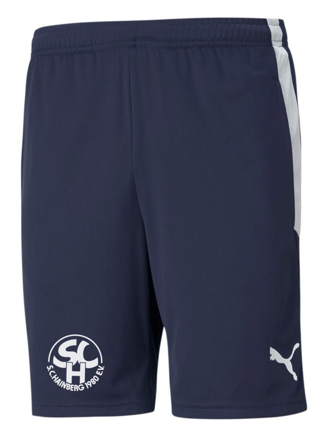 PUMA teamLIGA Training Shorts