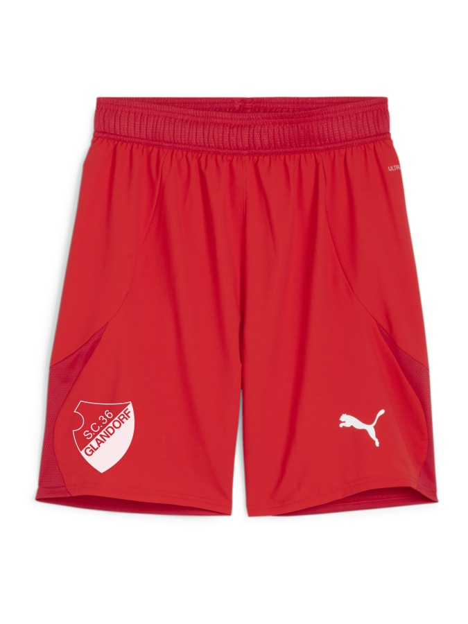 PUMA teamFINAL Shorts