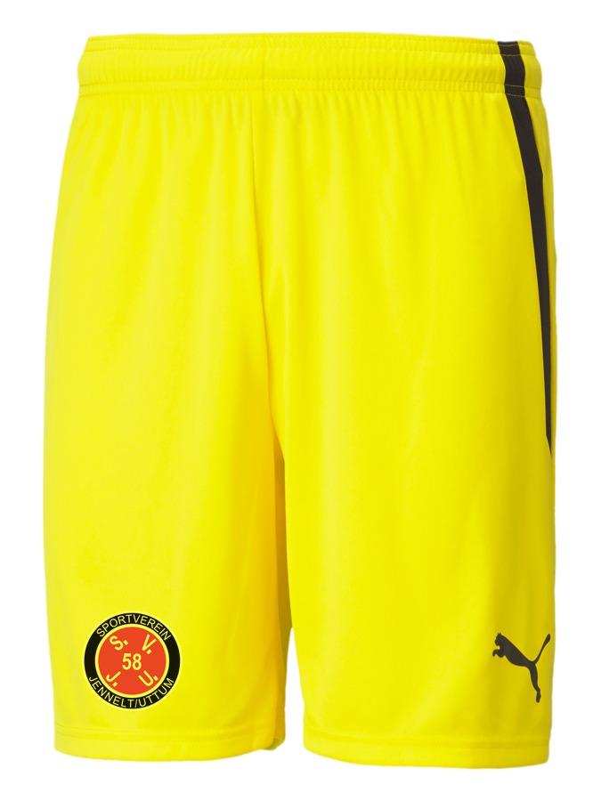 PUMA teamLIGA Shorts