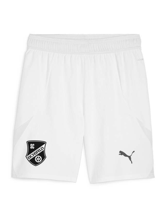 PUMA teamFINAL Shorts