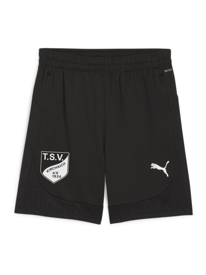 PUMA teamFINAL Training Shorts