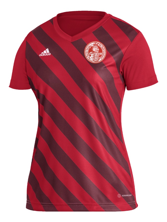 adidas Entrada 22 GFX Trikot Damen