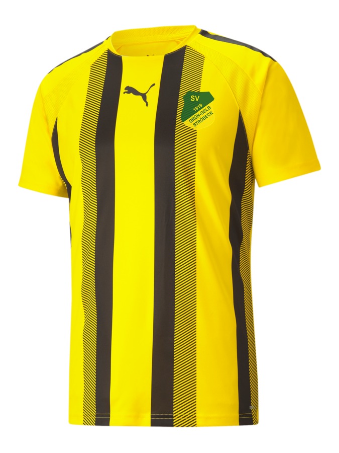 PUMA teamLIGA Striped Trikot