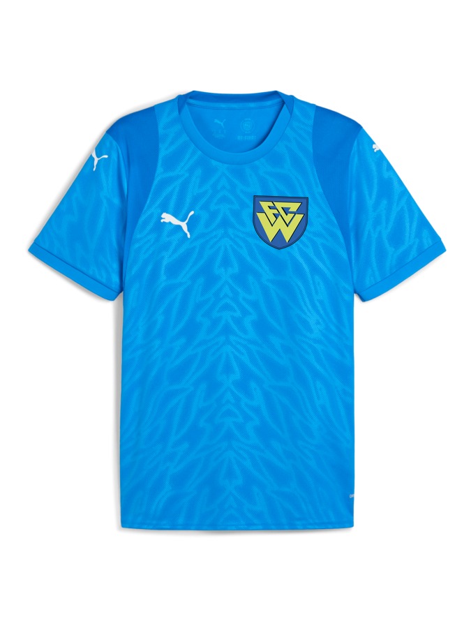 PUMA teamCUP Trikot