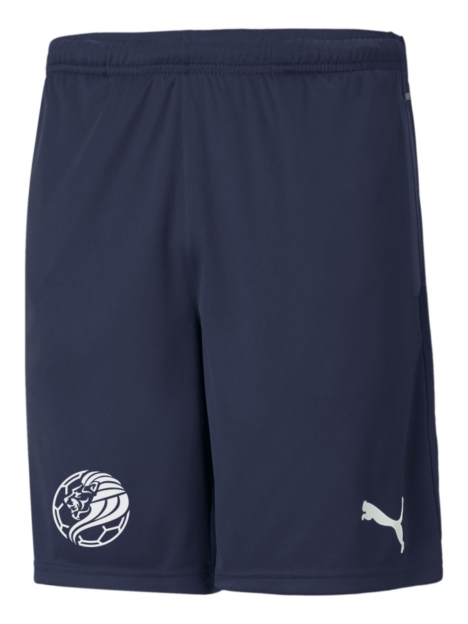 PUMA teamRISE Training Shorts