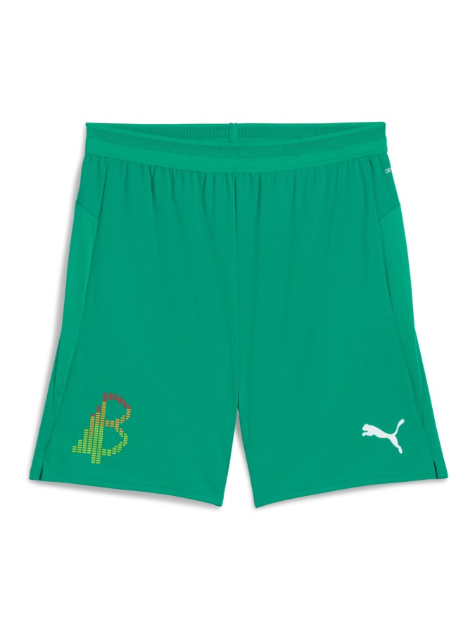PUMA teamCUP Shorts