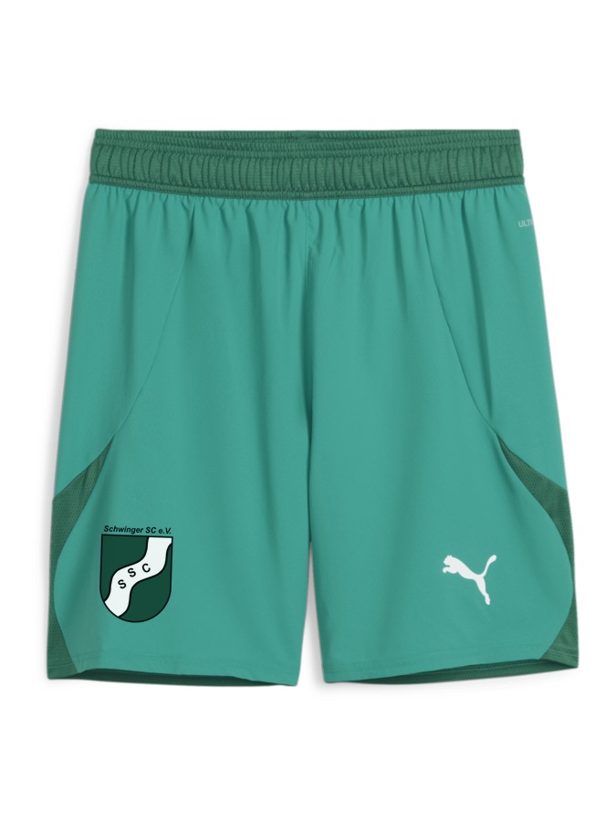 PUMA teamFINAL Shorts