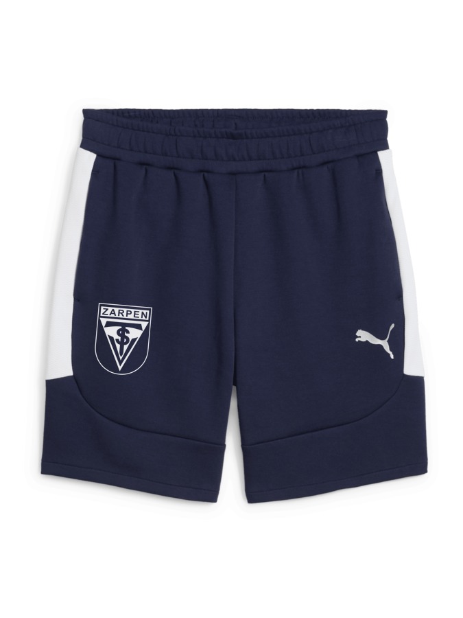 PUMA teamEVOSTRIPE Shorts