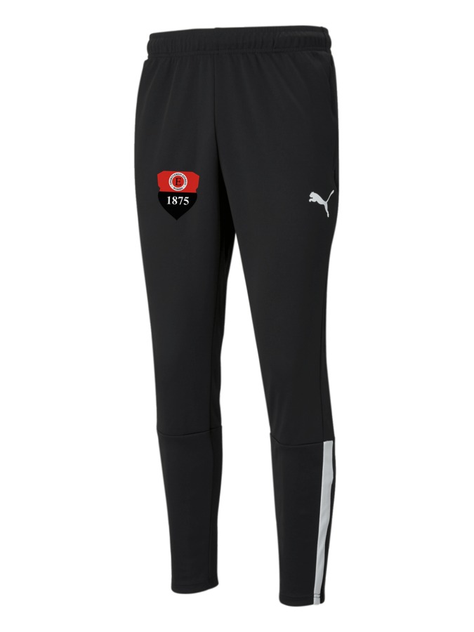 PUMA teamLIGA Trainingshose