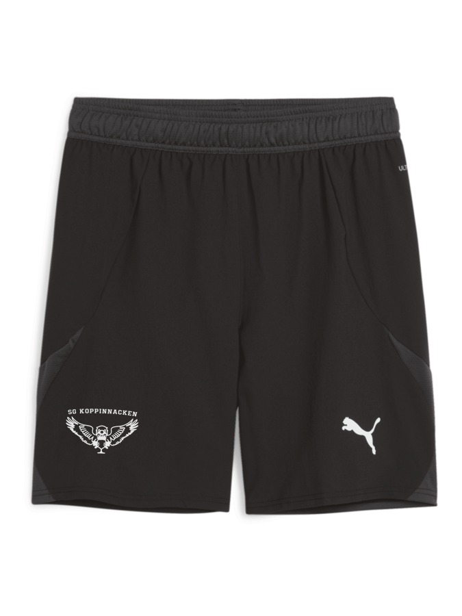 PUMA teamFINAL Shorts