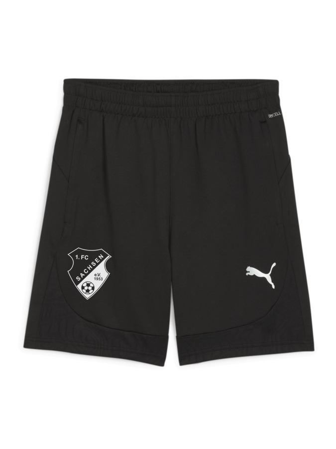 PUMA teamFINAL Training Shorts