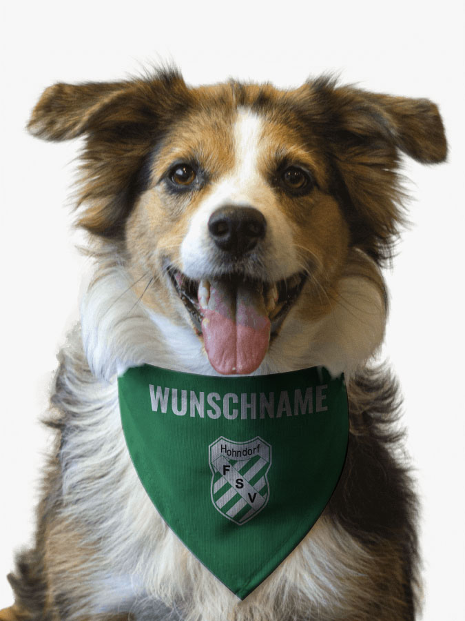 Hundehalstuch