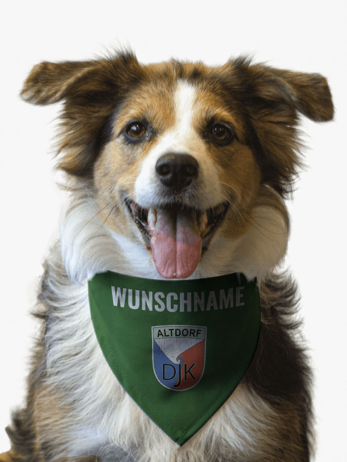 Hundehalstuch