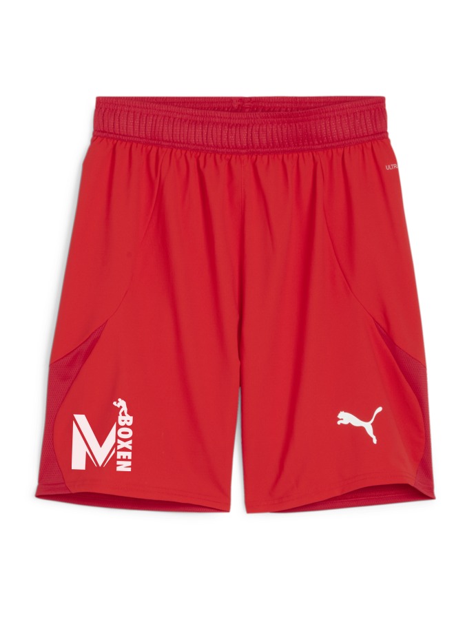 PUMA teamFINAL Shorts