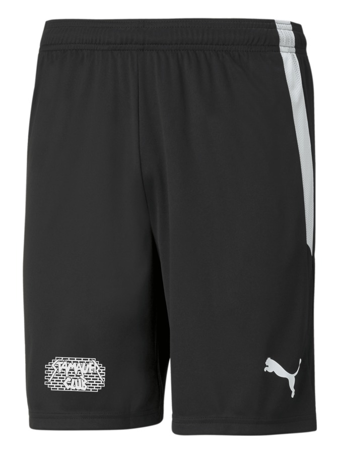 PUMA teamLIGA Shorts