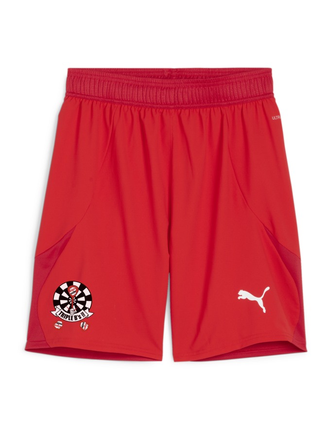 PUMA teamFINAL Shorts